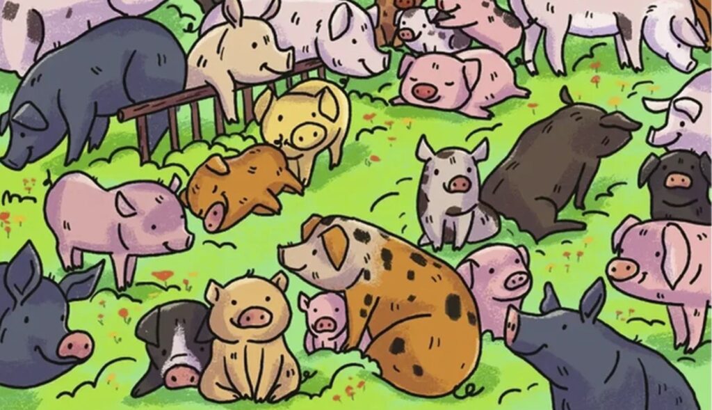 Introducción: Los acertijos visuales son una excelente forma de poner a prueba nuestra atención al detalle y agilidad mental. En esta ilustración llena de cerditos, se ha escondido un hipopótamo. Aunque parece una tarea fácil, solo el 10% de las personas logra encontrarlo en menos de un minuto. ¿Serás tú uno de ellos? ¡Desafía a tus amigos y descubre quién tiene la mejor vista! El desafío visual La imagen que te presentamos muestra un campo lleno de cerditos de diferentes colores y tamaños. Sin embargo, hay algo inusual: entre todos ellos, se esconde un hipopótamo. Tu misión: Observa la imagen con atención. Encuentra al hipopótamo oculto. Comparte el reto con tus amigos para ver quién lo resuelve más rápido. ¿No lo encuentras? Aquí tienes una pista: El hipopótamo está camuflado entre los cerditos debido a su forma y color, lo que hace que pase desapercibido a primera vista. Busca diferencias sutiles en las orejas y la forma del cuerpo. Solución al reto visual Si después de varios intentos no logras encontrar al hipopótamo, aquí tienes la solución: ¿Lo encontraste antes de ver la solución? Si es así, ¡felicitaciones! Tienes una vista impresionante. Si no, no te preocupes, sigue practicando con más acertijos como este. Por qué los retos visuales son tan populares Los acertijos visuales no solo son divertidos, sino que también ofrecen beneficios como: Mejorar la concentración. Entrenar la mente para identificar patrones. Reducir el estrés al enfocarte en un desafío único. Conclusión: ¿Te ha gustado este desafío visual? ¡Compártelo en redes sociales para que más personas puedan intentarlo! También puedes explorar otros acertijos y juegos en nuestra sección de entretenimiento. Recuerda que cada reto es una oportunidad para afinar tus habilidades de observación.